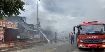 Amasra’da 2 kafe, 3 büfe küle döndü