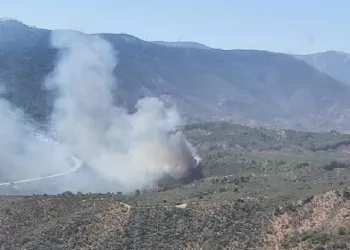 Muğla Milas’ta orman yangını