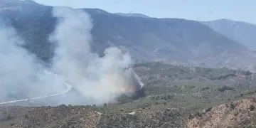 Muğla Milas’ta orman yangını