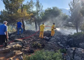 Kahramanmaraş’ta ormanları yakan şüpheli yakalandı