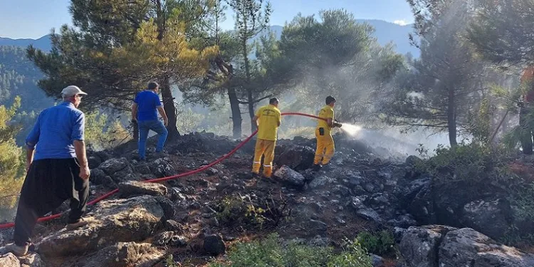 Kahramanmaraş’ta ormanları yakan şüpheli yakalandı