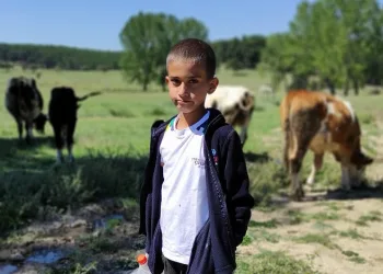 Bursa’da boyundan büyük hayvanlara çobanlık yapıyor