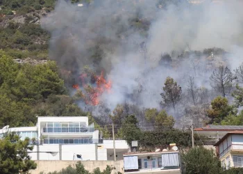 Antalya Alanya’da orman yangını