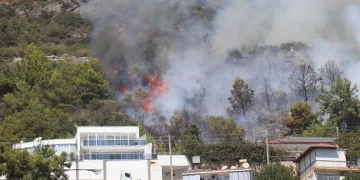 Antalya Alanya’da orman yangını
