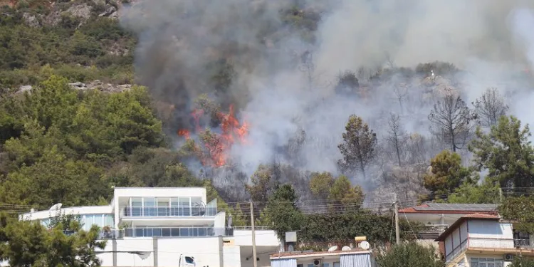 Antalya Alanya’da orman yangını