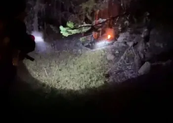 Ormanda lastik yakan 2 kişi yakalandı