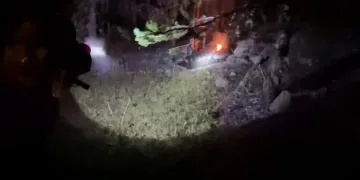 Ormanda lastik yakan 2 kişi yakalandı