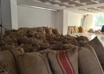 TMO Zonguldak’ta 427 ton fındık aldı
