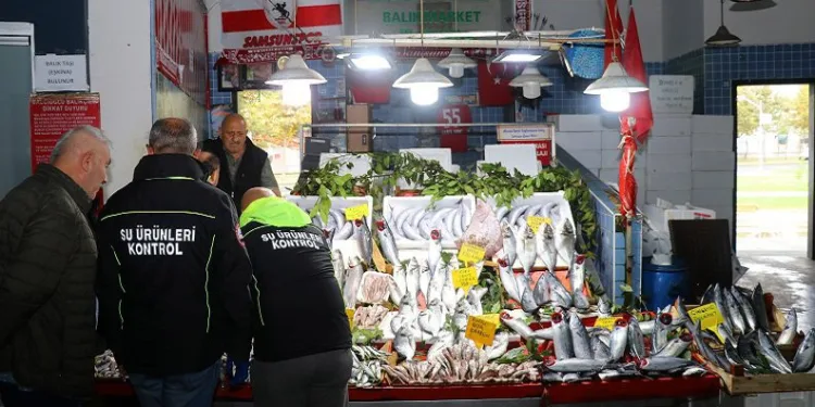 Denetime takılan balıkçılara 400 bin TL ceza