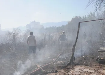 Antalya’da otluk alanda yangın çıktı