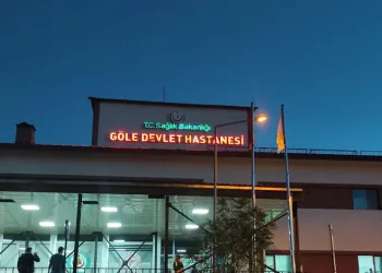 Ardahan’da depremde başına tuğla düşen kişi yaralandı