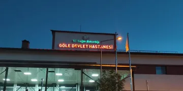Ardahan’da depremde başına tuğla düşen kişi yaralandı