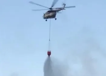 Beykoz’da korkutan orman yangını