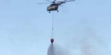 Beykoz’da korkutan orman yangını