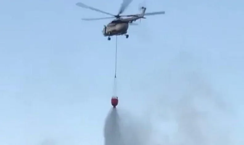 Beykoz’da korkutan orman yangını