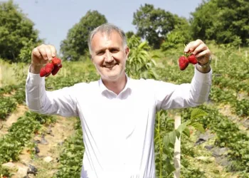 İnegöl’de hafta sonu 2 şenlik