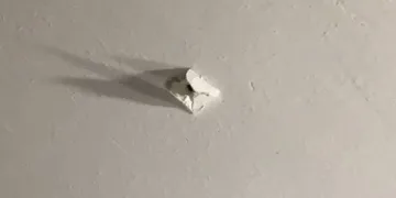 Yorgun mermi tavanı delip içeriye girdi