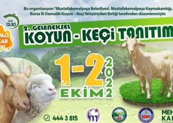 Mustafakemalpaşa’da koyun keçi tanıtım festivali