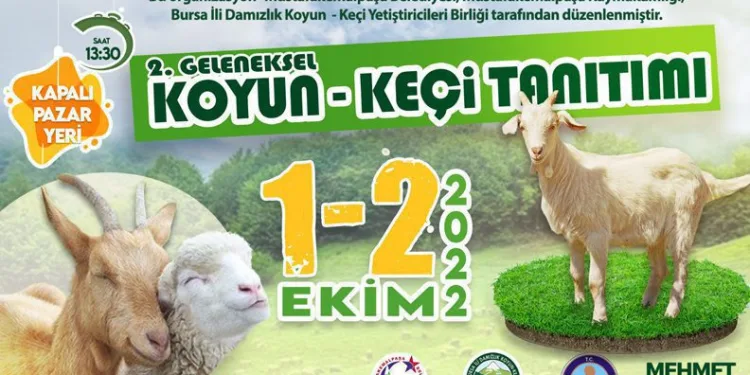 Mustafakemalpaşa’da koyun keçi tanıtım festivali