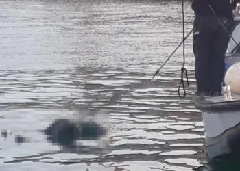 Kocaeli’de denizde erkek cesedi bulundu