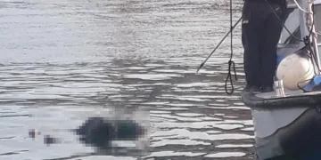 Kocaeli’de denizde erkek cesedi bulundu