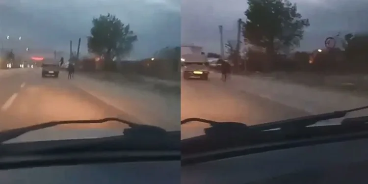 Bursa’da atı kamyonetle kilometrelerce sürüklediler