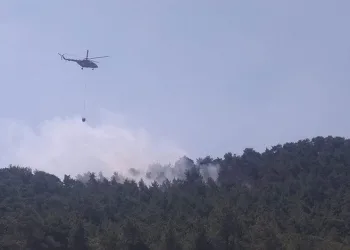 Antalya’da şimşekler orman yangını çıkardı
