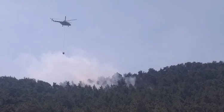 Antalya’da şimşekler orman yangını çıkardı
