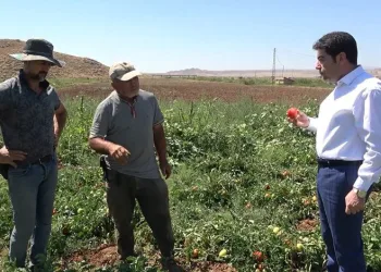 İşçi bulamayan üretici: “İyi ki mülteciler var”