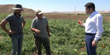 İşçi bulamayan üretici: “İyi ki mülteciler var”