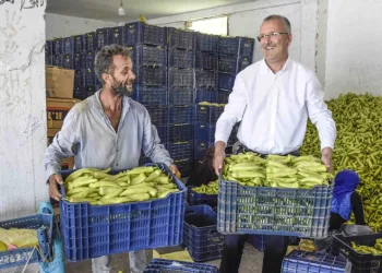 Başkan Özkan, biber üreticilerinin hasadına katıldı