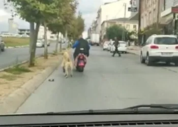 Motosiklete bağladığı köpeği peşinden koşturdu