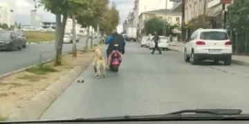 Motosiklete bağladığı köpeği peşinden koşturdu