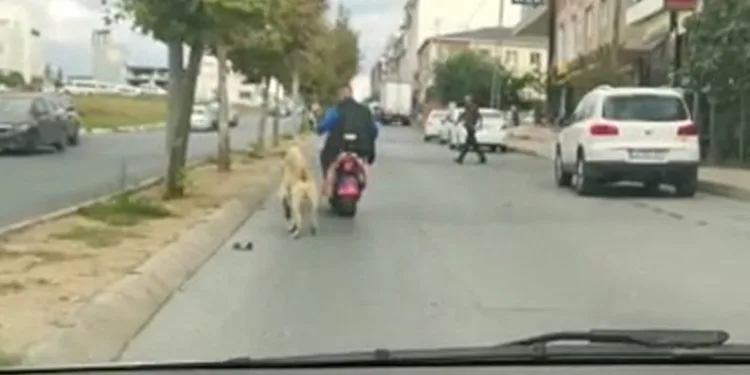 Motosiklete bağladığı köpeği peşinden koşturdu