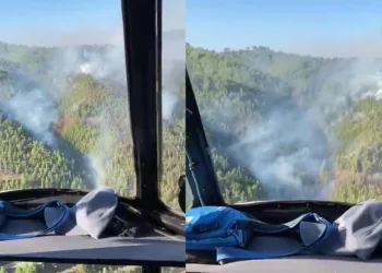 Antalya Alanya’da orman yangını