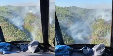 Antalya Alanya’da orman yangını