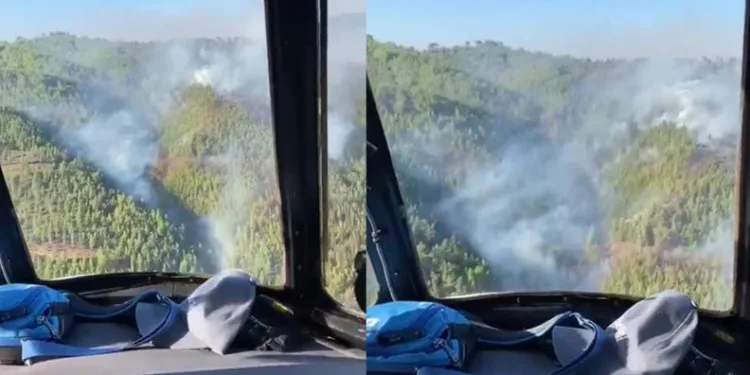 Antalya Alanya’da orman yangını