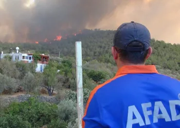 Mersin’deki orman yangını kontrol altında