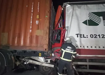 TIR’a çarpan kamyonun sürücüsü öldü