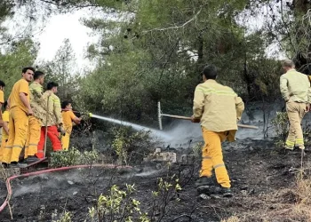 Hatay’da orman yangını evlere sıçramadan söndürüldü