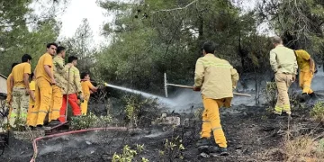 Hatay’da orman yangını evlere sıçramadan söndürüldü