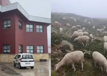 Bursa Uludağ’a ilk kar düştü