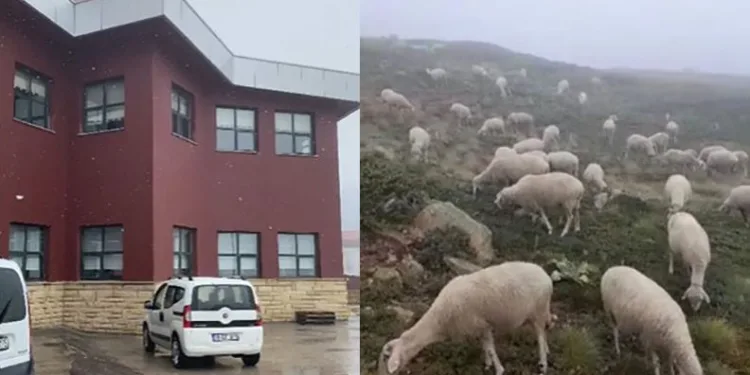 Bursa Uludağ’a ilk kar düştü