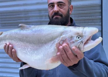 İznik Gölü’nde 8 kiloluk balık yakaladı