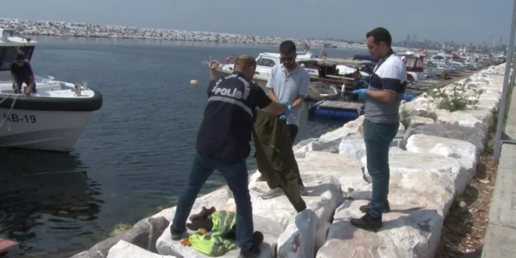 Yüzmek için girdiği denizde boğuldu