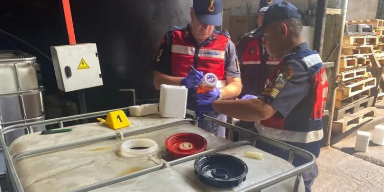 Jandarmadan kaçak motor yağı operasyonu