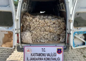 Bursa’dan Kastamonu’ya gidip sarımsak çaldılar