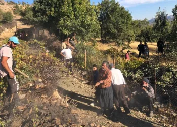 Elazığ’da ağaçlık alanda yangın
