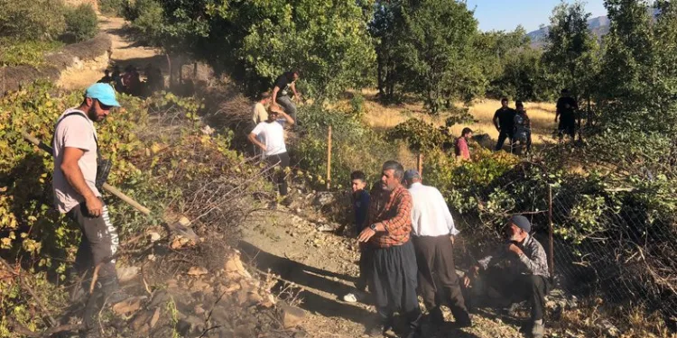 Elazığ’da ağaçlık alanda yangın