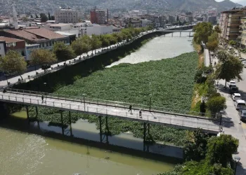 Asi Nehri’ni kaplayan su sümbülleri temizleniyor